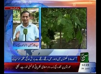 News Bulletin 12pm 28 June 2016 Such TV