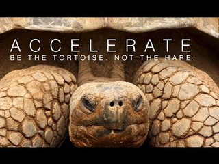 ACCELERATE: Be the Tortoise Not the Hare