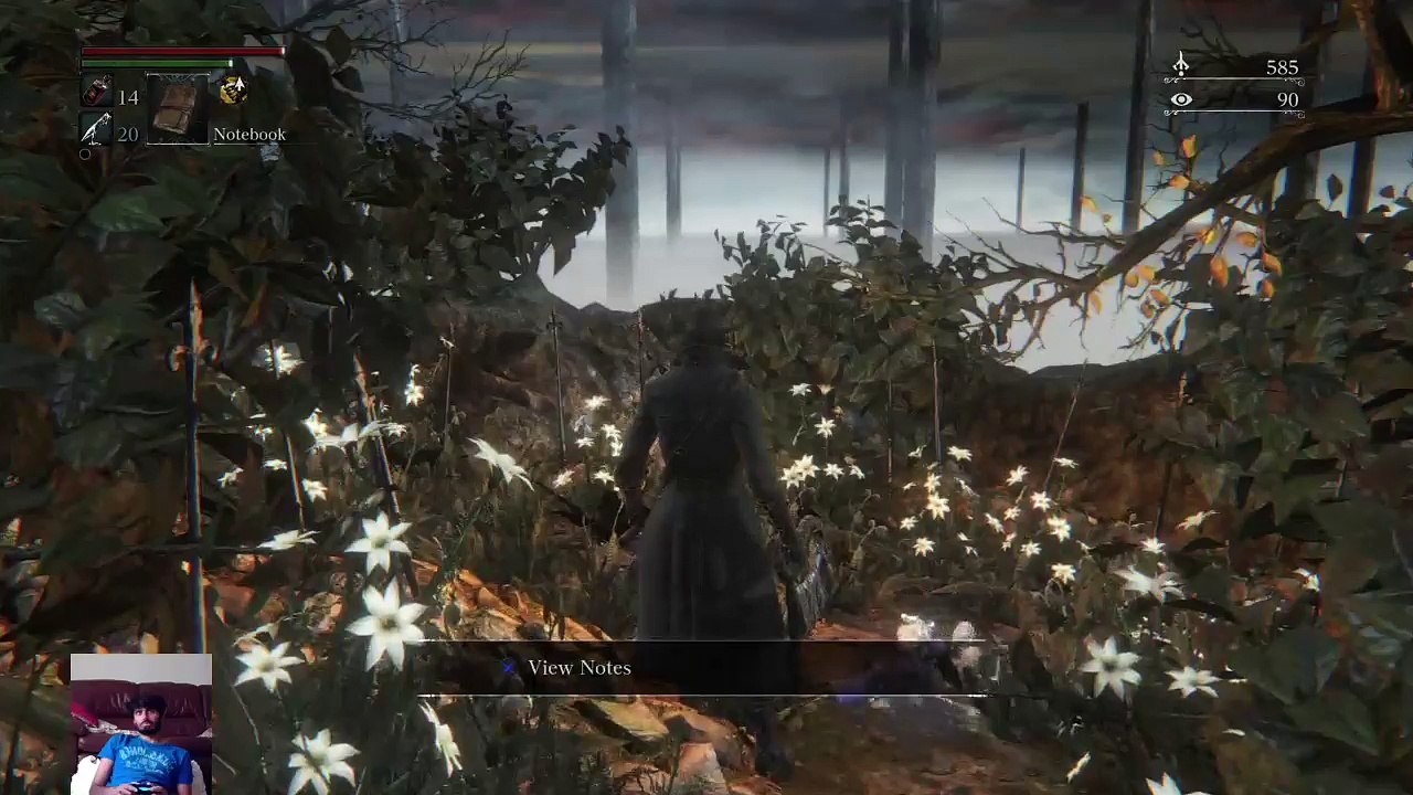 Bloodborne HD (15)