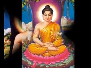 KINH TỤNG VU LAN BÁO HIẾU (8) ĐĐ. THÍCH TRÍ THOAT Tụng