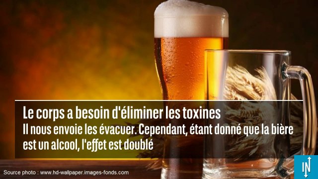 Voici pourquoi la bière donne envie d'uriner souvent
