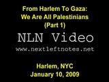 From Harlem To Gaza: We Are All Palestinians (Part 1)