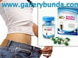body slim herbal slimming tea pin bb 5FA47613 atau SMS/WA 0852 3356 0743