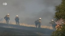 Kaliforniya’da orman yangınları