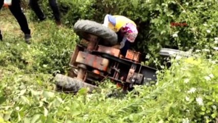 Kastamonu İneği Traktörle Yakalamak İsterken Kaza Yaptılar 1 Yaralı