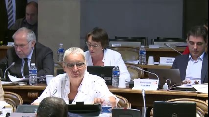 Céline TONOT. Voirie et infrastructures (BS 2016). 27 juin 2016