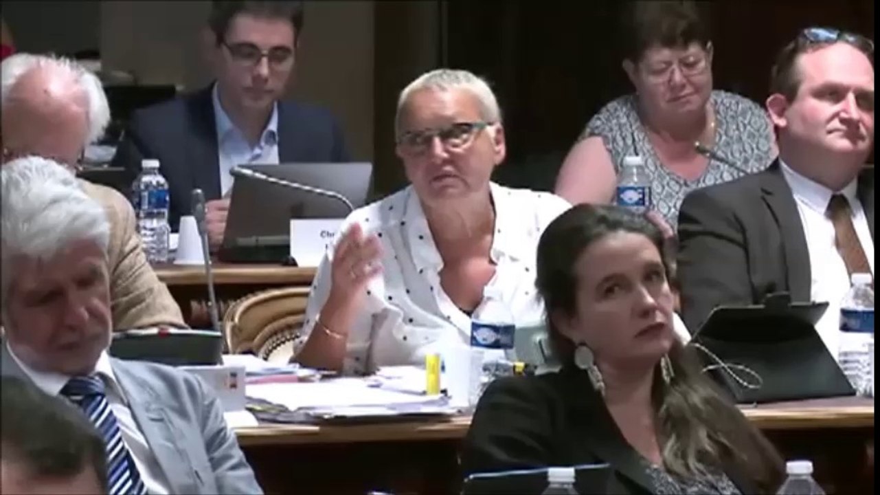 Colette POPARD. Schéma d'aménagement numérique. 27 juin 2016