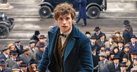 Les Animaux Fantastiques - Featurette Officielle - Un Nouveau Héros (VOST)