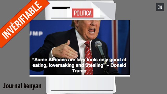 Et si les pires déclarations de Trump étaient pour l'Afrique ?