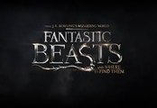Fantastic Beasts and Where to Find Them - A New Hero Featurette [HD]