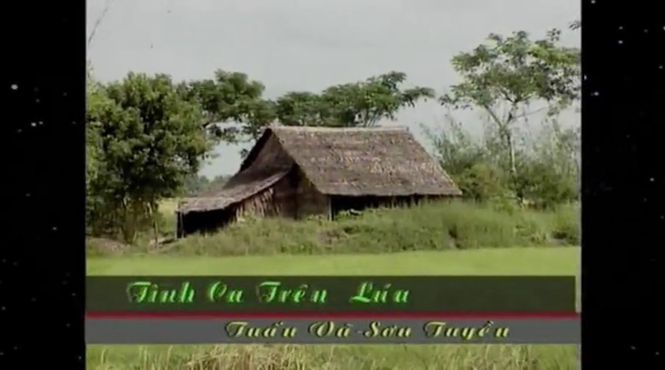 Karaoke Tình Ca Trên Lúa - Tuấn Vũ & Sơn Tuyền