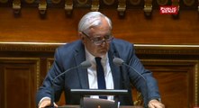 Jean Pierre Raffarin : 