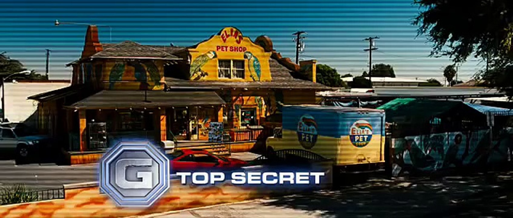 G Force Pet Store
