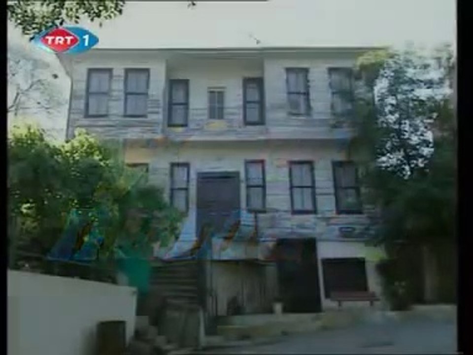 7 Numara 1/2