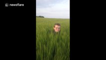 Le papa filme son fils au milieu d’un champ de blé, mais regardez ce qui lui fonce dessus !
