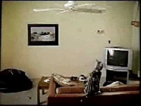 Ads Nokia 3650 Controversial | Funny Video | Funny Movie