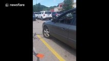 Woman confronts driver who left dog in car on hot day