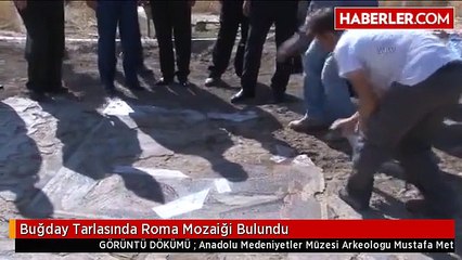 Buğday Tarlasında Roma Mozaiği Bulundu