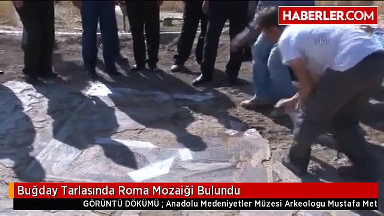Buğday Tarlasında Roma Mozaiği Bulundu