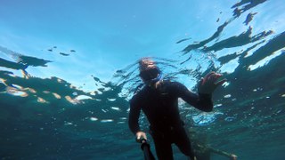 Exploring the Ocean with Friends