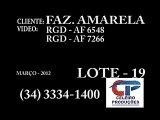 LOTE 19 - 5º. Leilão Fazenda Amarela