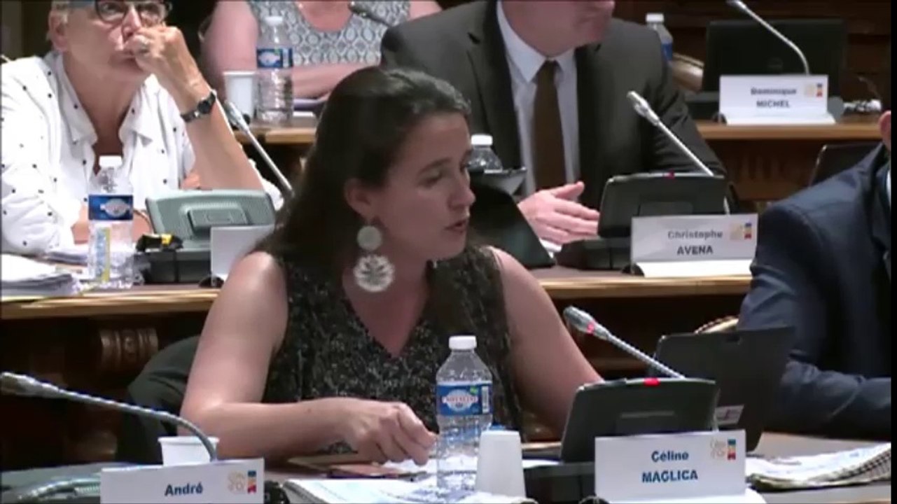 Céline MAGLICA. Plan collèges Côte-d'Or 2021. Session du 27 juin 2016
