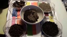 Garam Masala (Hot Spices) Basic