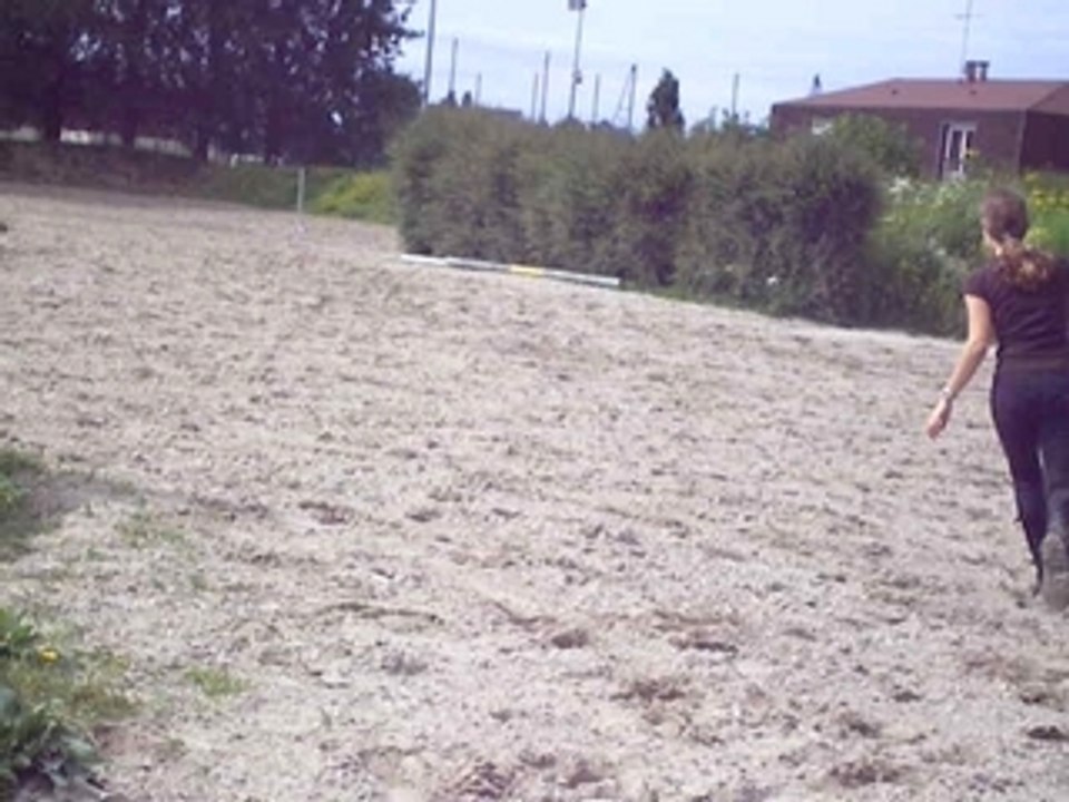 Saut A Pied