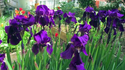 Projet Ecobox 2015-2016 Centre International de Valbonne