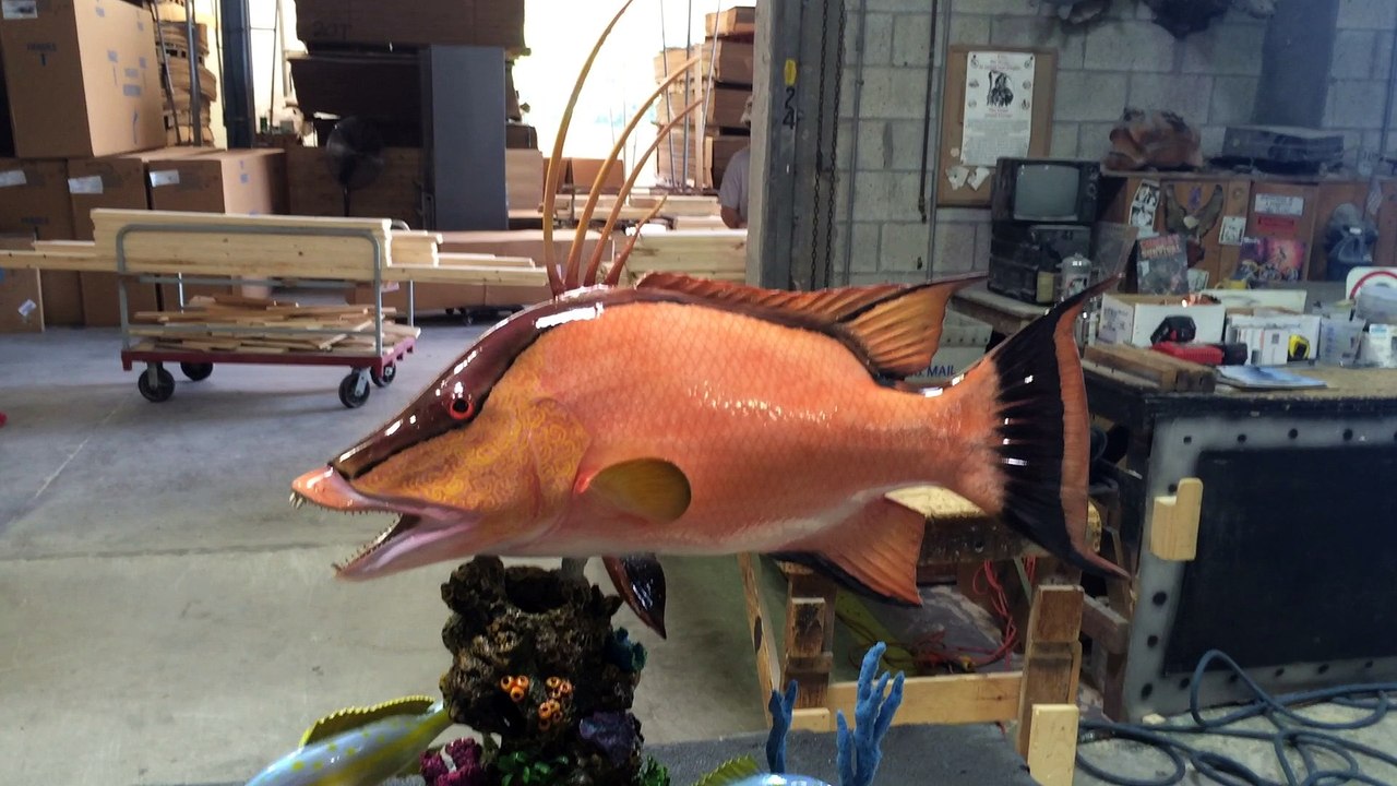 Gray Taxidermy custom trophy mounts