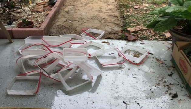 Od praznih kutija od sladoleda napravila nesto genijalno za svoje dvoriste