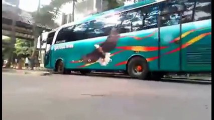 Telolet Unique Bus Garuda Mas Song(Jablay and Bald-Bald Pacul)
