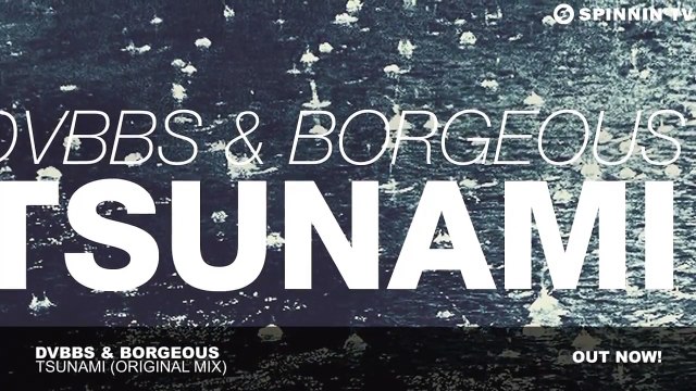 DVBBS & Borgeous TSUNAMI Original Mix