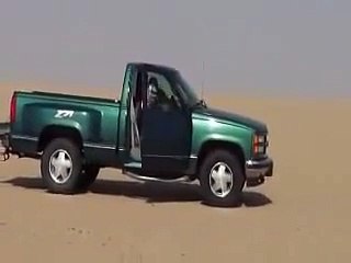 A pet cheeta kills a deer