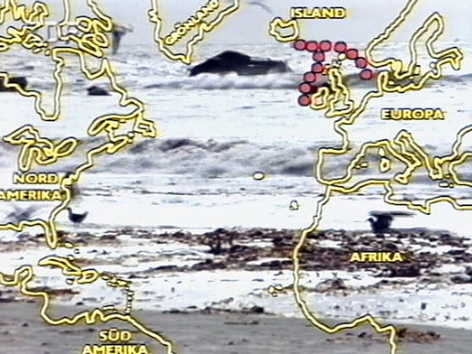 Vergesst Kolumbus ! Die geheimen Entdecker Amerikas