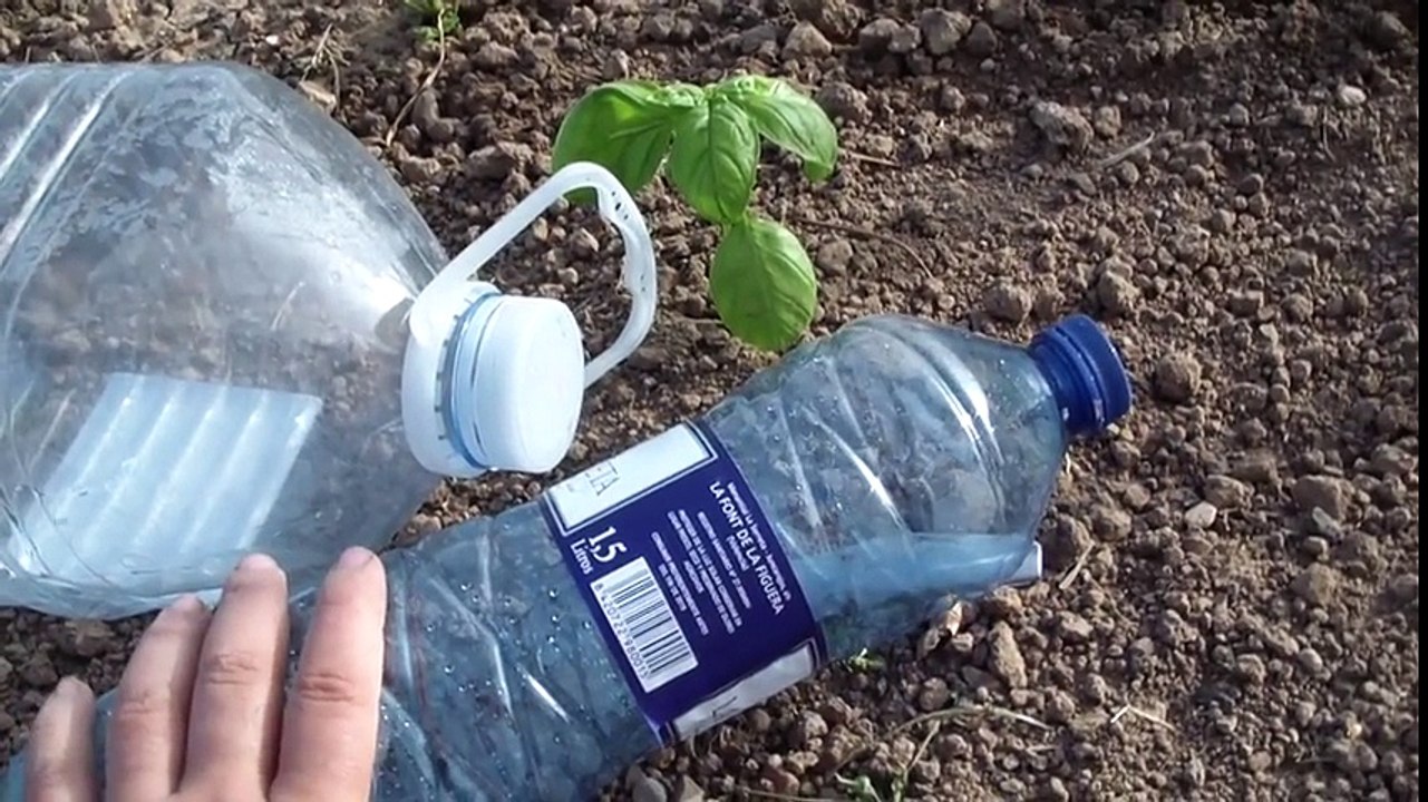 Avec cette technique plus besoin d'arroser votre jardin tous les jours et vous économiserez de l'eau !