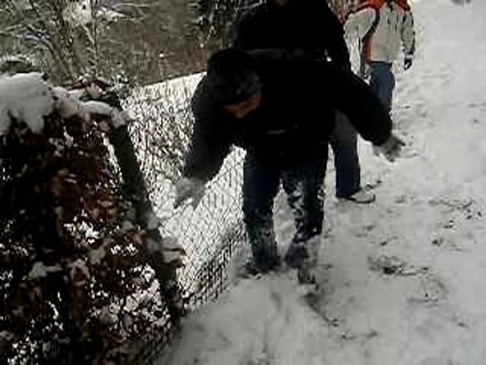 taws in eifel