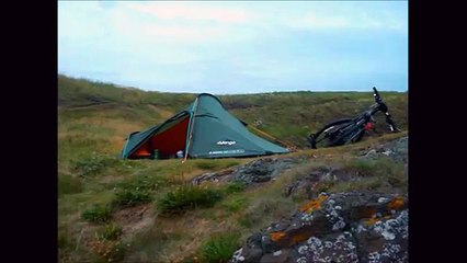 Scotland's shark infested waters