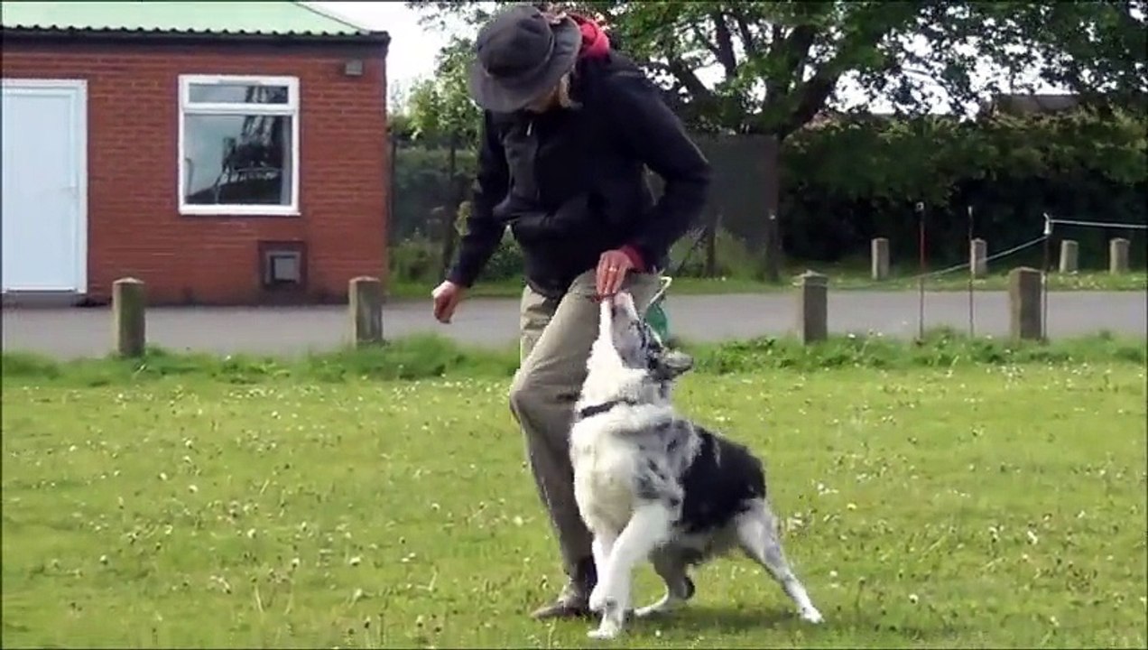 Heelwork