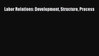 Download Labor Relations: Development Structure Process PDF Online