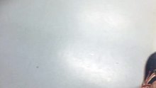 63