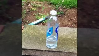 HANDSOME YOUNG MAN SHOWS OFF BOTTLE FLIPPING SKILLS