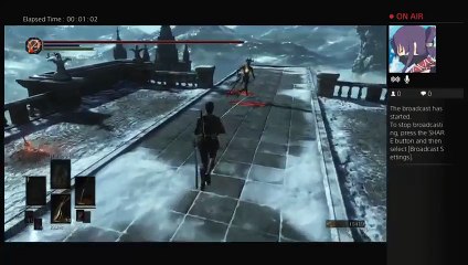 Dark souls pvp professional (4)