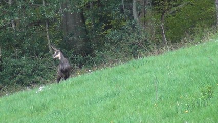 Franche-Comté, une vraie Nature