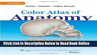 Read Color Atlas of Anatomy: A Photographic Study of the Human Body  PDF Free