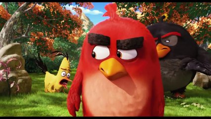 THE ANGRY BIRDS - Movie CLIP # 3 (2016)