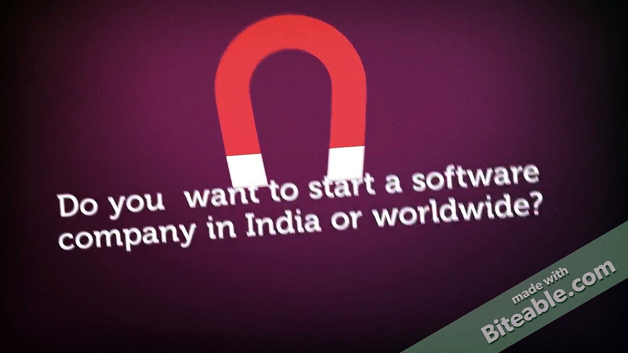 software company