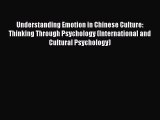 Read Book Understanding Emotion in Chinese Culture: Thinking Through Psychology (International