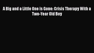 Read Book A Big and a Little One is Gone: Crisis Therapy With a Two-Year Old Boy ebook textbooks