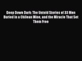 Read Deep Down Dark: The Untold Stories of 33 Men Buried in a Chilean Mine and the Miracle